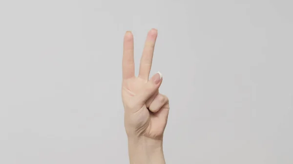 Рука Жестикулює Два Числа Жінка Підраховує Подвійні Пальці Світло Сірому — стокове фото