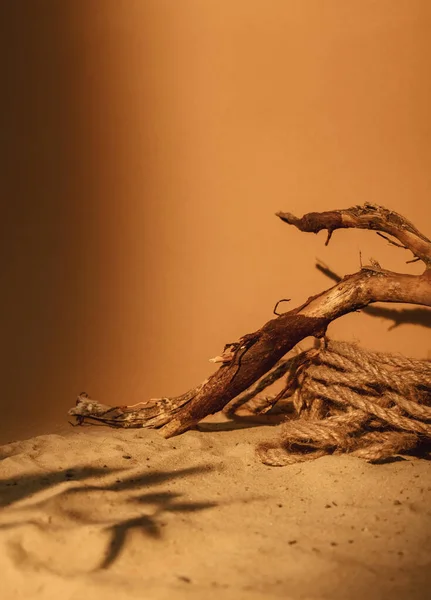 Přírodní Přehlídka Písková Dohoda Umístění Produktu Hnědý Suchý Strom Dřevo — Stock fotografie