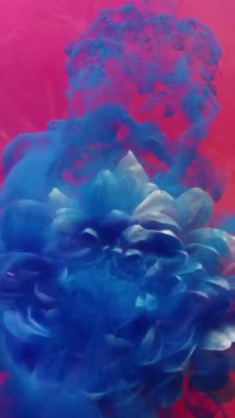 垂直录像 墨水掉了幻想之花在抽象的艺术背景下 蓝色粉红颜料喷出的烟雾流淌在白花雏菊花瓣上 — 图库视频影像
