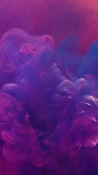 垂直录像 墨水水飞溅 花的颜色 神奇的天性明快抽象的艺术背景下 红花花瓣上的霓虹粉紫色蓝色水汽运动 — 图库视频影像
