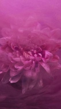Dikey video. Su altı çiçeği. Pırıltılı sis. Fantezi çiçeği. Renkli buharlı pembe papatya. Su, soyut sanat arka planında yüzen parçacıkları düşürür..