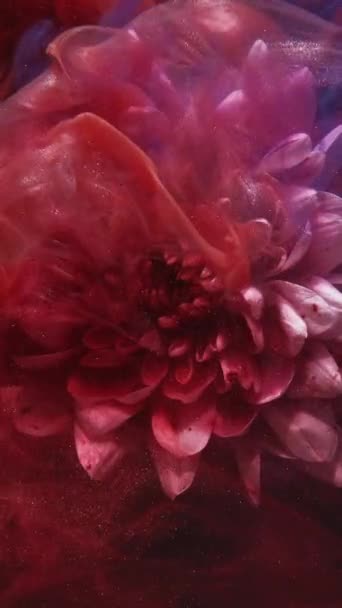 Κάθετο Βίντεο Λαμπερό Λουλούδι Πιτσιλιές Μελανιού Αρωματική Ομίχλη Κόκκινο Μπλε — Αρχείο Βίντεο