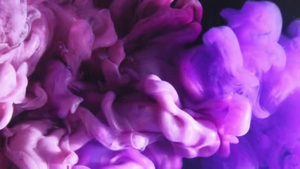 Una Spruzzata Fluido Vapori Colore Inchiostro Acqua Esplosione Rosa Viola — Video Stock