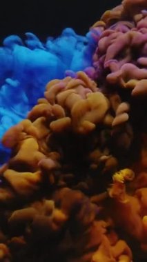 Dikey video. Mürekkep suyu. Renkli duman sıçraması. Açığa çıkarma etkisi. Su altı boya patlaması. Koyu siyah soyut sanat arka planında mavi sarı sıvı karıştırma hareketi.