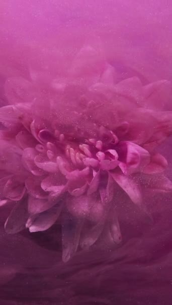Video Verticale Fiore Subacqueo Nebbia Scintillante Fiore Fantasia Rosa Margherita — Video Stock