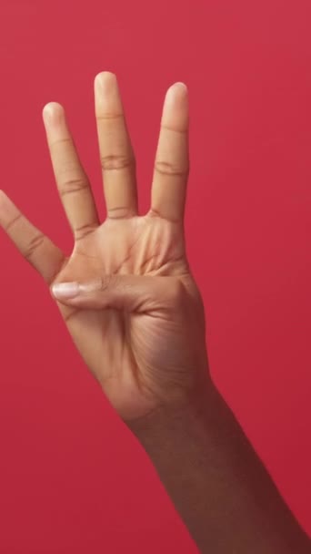 Вертикальное Видео Подсчет Пальцев Номера Рук Обратный Отсчет Неузнаваемая Женщина — стоковое видео