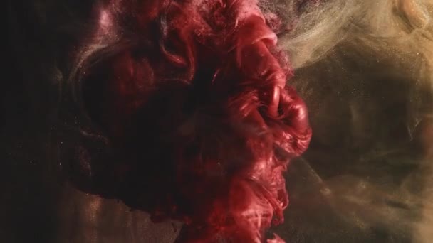 Inktwater Schilderspalk Vloeistofdruppel Explosie Rood Gouden Kleur Gloeiende Glitter Stofdeeltjes — Stockvideo