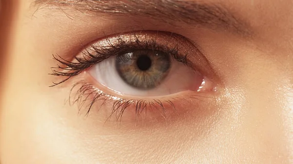 视力矫正 激光手术目视眼科 女性宏观细腻 健康的眼睛 配以灰褐色虹膜和瞳孔 — 图库照片