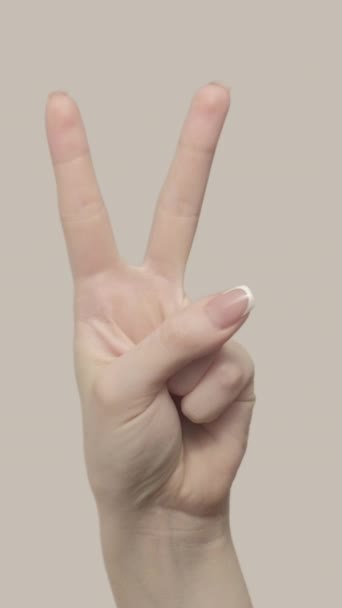 Dikey Video Işareti Barış Zaferi Kadın Eli Parmak Hareketlerini Gösteriyor — Stok video