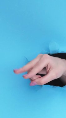 Dikey video. Alay etme hareketi. Parmaklarını sok. Oyuncu kadın eli mavi yırtık duvar zemininde boşluk döngüsüne sahip delikte..