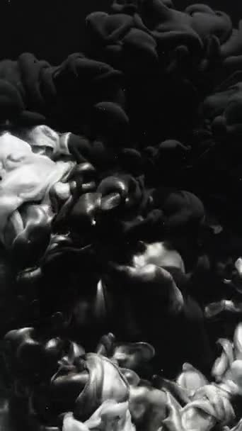 Verticale Video Een Inktwaterinjectie Vloeibare Plons Onthulling Effect Zwart Zilver — Stockvideo