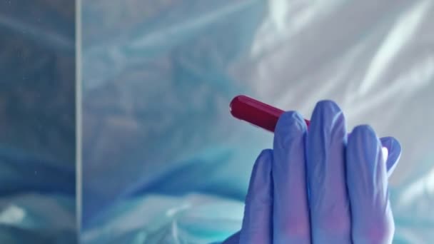 垂直录像 全血计数 诊断测试 微生物学研究 医用防护手套护士将分析试管放入容器的研究 — 图库视频影像
