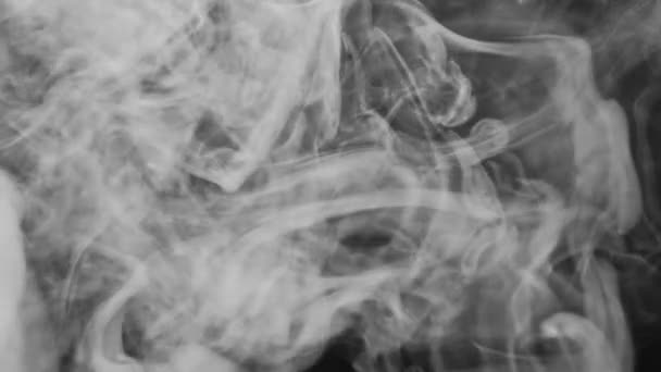 煙の質について ヴァーパークラウンド ドライアイス ダークブラックコピースペース抽象背景の白い透明なスモッグ排気モーション — ストック動画