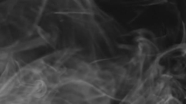 Textura Fumo Vapor Redemoinho Vapor Transparente Movimento Fluxo Smog Cinza — Vídeo de Stock