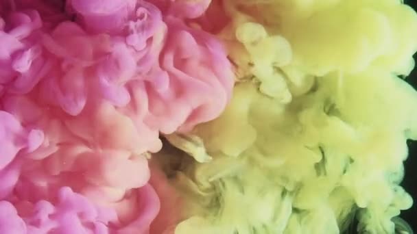 Tinta Água Disparada Nuvem Fumo Revela Efeito Cor Rosa Pastel — Vídeo de Stock