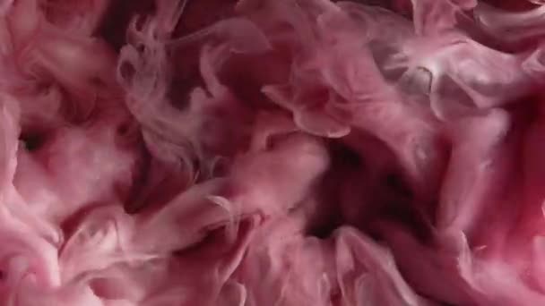 ペイントウォーターショット カラー 蒸発雲 オープナー効果 ブラック抽象アートの背景の水中ピンクの白い顔料の煙の流れの動き — ストック動画