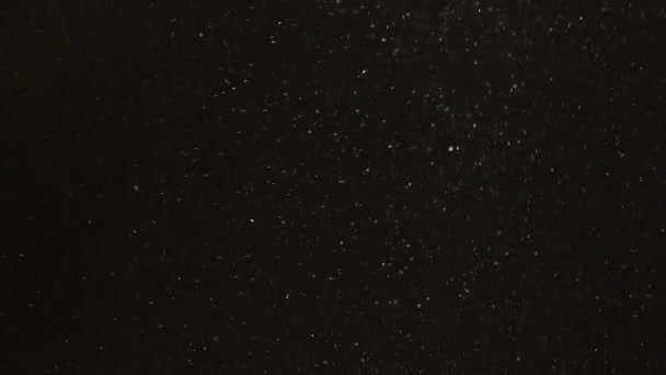 尘粒运动 谷物质地 雪花飘扬 脱色的白色粉末在深黑抽象的自由空间背景上漂浮 — 图库视频影像
