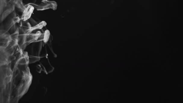 スモーククラウド スモッグウェーブ ナイトフォグ ダークブラックコピースペースの白い蒸気広がりモーション抽象的な背景 — ストック動画