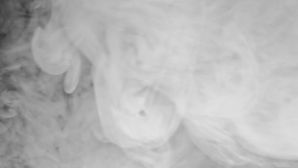 煙の背景について ヴァーパークラウンド スモッグ エキゾースト ダークブラック抽象フリースペーステクスチャに広がるホワイトフィーム — ストック動画