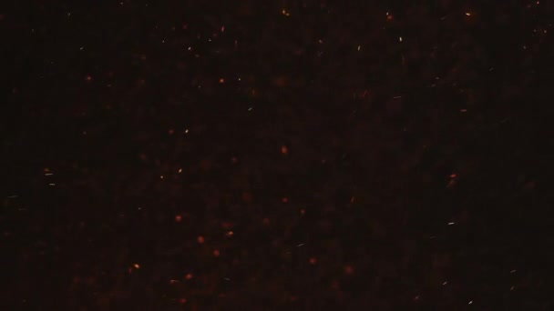 火花质感 Bokeh灯 模糊的橙色红色燃烧的尘埃粒子在暗黑色复制空间的抽象背景上飞行 — 图库视频影像
