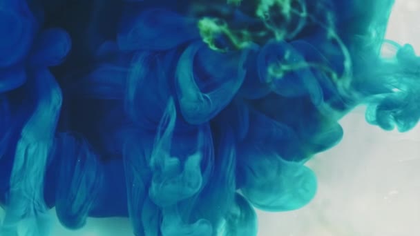 Salpicadura Pintura Gota Agua Tinta Nube Humo Color Azul Blanco — Vídeos de Stock