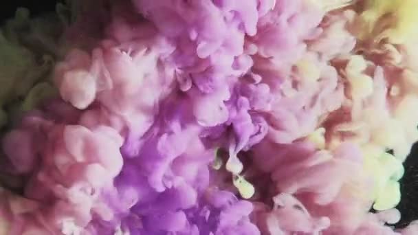 Pintura Agua Nube Vapor Color Efecto Abridor Pastel Púrpura Tinta — Vídeos de Stock