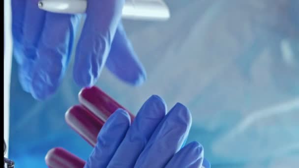 Vertikal Video Blodprov Kliniskt Laboratorium Sjuksköterska Studerar Serumprover Med Händerna — Stockvideo