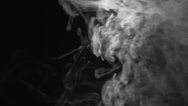 バックグラウンド スモッグクラウド 大気汚染 暗黒のコピースペースに広がる白い煙抽象的なテクスチャ — ストック動画