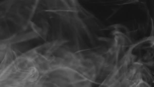 Textura Humo Remolino Vapor Vapor Transparente Movimiento Flujo Smog Gris — Vídeos de Stock