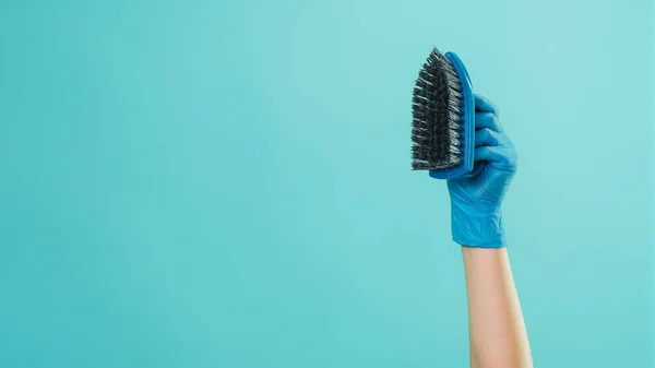 Professional household. Cleaning equipment. Housekeeper hand in blue protective gloves with scrubbing brush isolated on green background empty space.