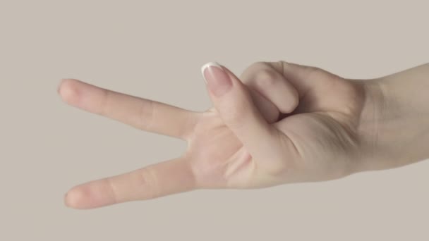 Pionowe Wideo Znak Zwycięstwo Pokoju Zestaw Żeńskich Rąk Pokazujących Gest — Wideo stockowe
