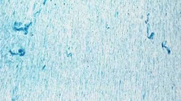 Farba Kolorze Ziarna Struktura Uderzeń Niebieskie Cząstki Płynu Płynące Paski — Wideo stockowe