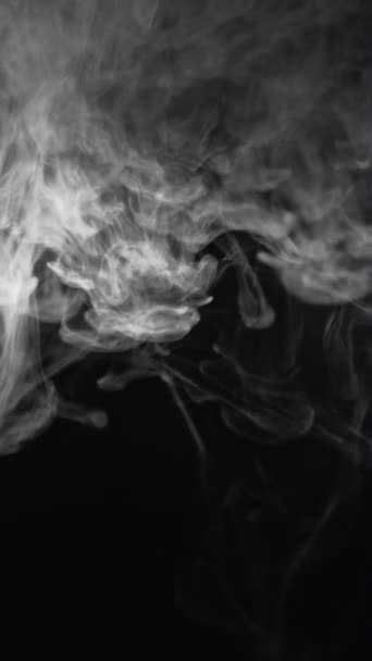 Vertikální Video Mlhavé Pozadí Smog Cloud Znečištění Ovzduší Rozmazat Bílý — Stock video