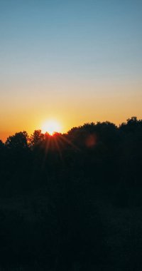 Orman günbatımı arka planı. Kırsal alan. Doğa parkı ufku. Yazın karanlık ağaçlar, yeşillik manzarası mavi gökyüzü ışıldıyor..