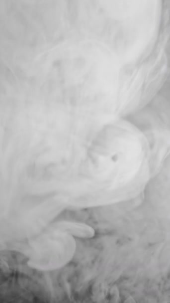 Vidéo Verticale Fumée Fond Nuage Vapeur Évacuation Smog Parfum Blanc — Video