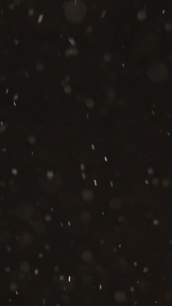 Video Verticale Sovrapposizione Particelle Struttura Cerchi Bokeh Nevicate Invernali Polvere — Video Stock