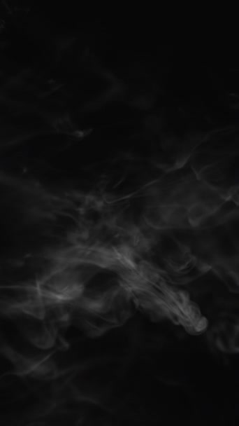 垂直录像 烟熏的覆盖 蒸气流 深黑拷贝空间抽象背景上模糊的灰蒸气漂浮运动 — 图库视频影像