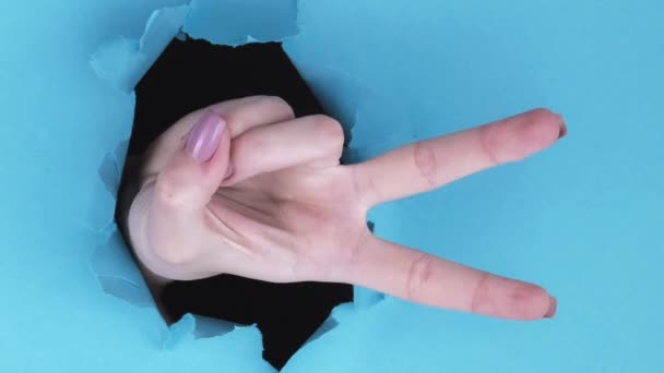 垂直录像 胜利的姿态和平的喜悦蓝色撕破墙背景图上的女性手用两根手指在突破纸孔内显示V字迹 并带有复制空间 — 图库视频影像