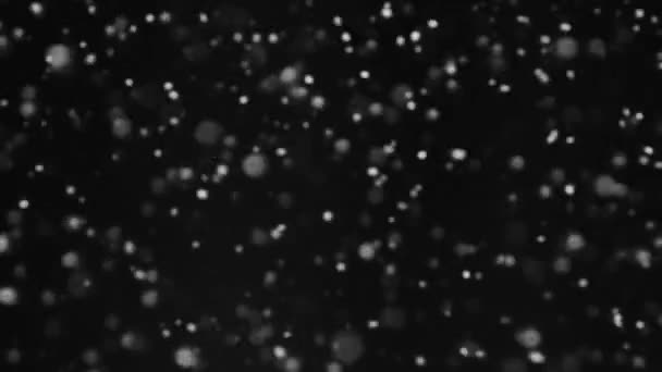 下着大雪冬夜在黑色的抽象背景上隔离的模糊的白色冰片在黑暗的天空中分散了飞行的粒子 — 图库视频影像