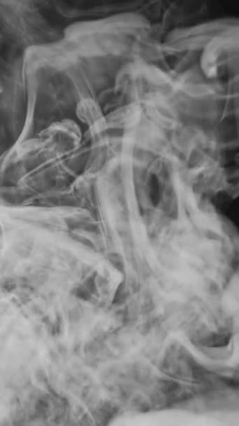 Κάθετο Βίντεο Καπνός Σύννεφο Ατμού Ξηρός Πάγος Λευκό Διαφανές Νέφος — Αρχείο Βίντεο