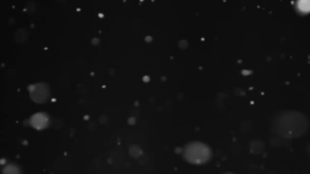 落雪了夜晚的暴风雪 模糊的白色片片闪烁着飞舞的水晶在漆黑的冬日夜空中抽象的黑暗背景 — 图库视频影像