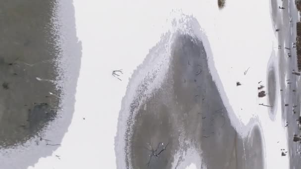 Verticale Video Uitzicht Het Drone Bos Wintermeer Witte Landschap Besneeuwde — Stockvideo