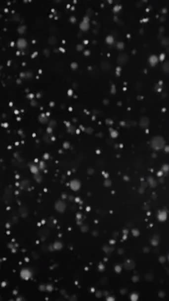 垂直录像 下着大雪冬夜在黑色的抽象背景上隔离的模糊的白色冰片在黑暗的天空中分散了飞行的粒子 — 图库视频影像