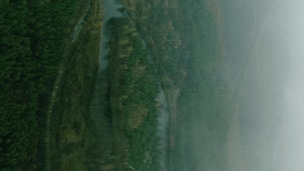 垂直录像 绿色乡村 无人机谷晨雾密布的云雾中的树冠和河流美丽的雾蒙蒙的自然景观 — 图库视频影像