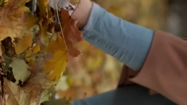 垂直录像 浪漫的秋天 走路的女人享受大自然的乐趣 难以辨认的女士走在公园里 把黄色的树叶扔在地上缓缓地走着 — 图库视频影像