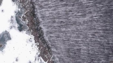 Dikey video. Drone Ormanı. Kış ağacı. Kar yağışı kaplayan kar beyazı vahşi toprak. Donmuş ağaçlar, soğuk ve bulutlu göl havası..