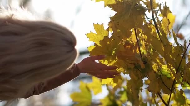 Вертикальное Видео Счастливого Дня Вдохновлённая Женщина Наслаждаюсь Осенью Неузнаваемая Леди — стоковое видео