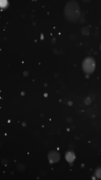 垂直录像 落雪了夜晚的暴风雪 模糊的白色片片闪烁着飞舞的水晶在漆黑的冬日夜空中抽象的黑暗背景 — 图库视频影像