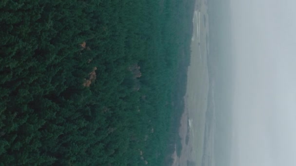 Függőleges Videó Légi Tájkép Drón Természet Vad Gyönyörű Parki Erdő — Stock videók