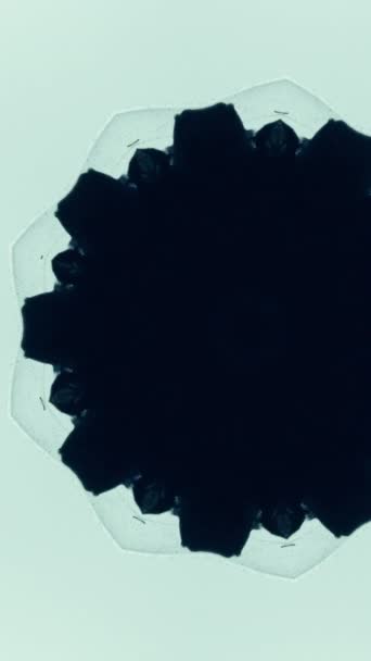 Вертикальное Видео Калейдоскоп Орнамент Чернильная Капля Черный Поток Краски Распространяется — стоковое видео